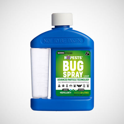 DIY Spray for Carpet Beetle